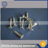 China manufacturer wholesale round wire nail or common iron nail