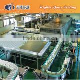 Filled Can Conveyor System