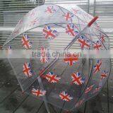 Waterproof Disposable Umbrella for Sale