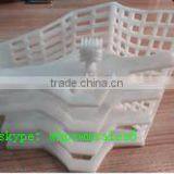 Laser Plastic 3D Printing Fast Rapid China New Product