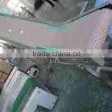 Plastic Lifter Conveyor thumbnail-4