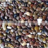 Factory wholesale price swimming pool pebble with free sample
