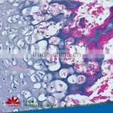 Mixed high quality beat price medical histology microscope prepared glass slides