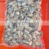 Wholesale Frzoen Oyster Meat thumbnail-2
