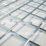 Welded Wire Panel (professional Products)