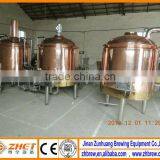 German Style Micro Red Copper Beer Production Line thumbnail-1