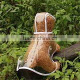 Fashion Design Beautiful Pet Raincoat thumbnail-2