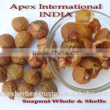 Soapnut Pods/ Soap Nut Powder Soap Nut / Sapindus Mukorossi