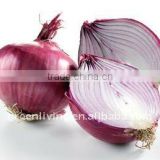 sell small good quality Onion,yellow onion