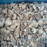 Chinese IQF Frozen Oyster Mushroom thumbnail-1