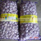 No Root/Clean Skin Wholesale Chinese Garlic thumbnail-4