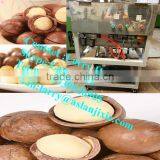 Macadamia Nut Tapping Machine/Macadamia Nut Sheller