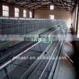 Innaer Chicken Poultry(chicken Cage Factory) thumbnail-2