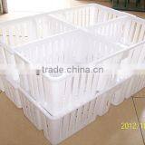 Chicken Plastic Poultry Transport Cage for Child Chicken