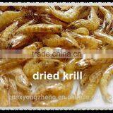 2mm Sun Dried Shrimps For Fish Food ; Red Dried Shrimps thumbnail-2