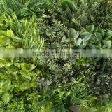 Artificial Green Wall Decorative Grass Plants thumbnail-2