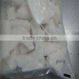 Sea Food and Frozen Giant Squid Seafood thumbnail-1