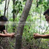 2015 ISPO Awarded New Model Outdoor Survival Gear Steel Chain Saw for Cutting Trees thumbnail-3