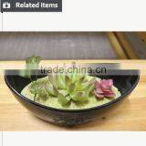 Wholesale Potted Succulent Wedding Decor Mini Succulent Artificial Lavender thumbnail-3