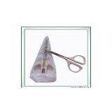 Sell Scissors thumbnail-1