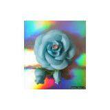 FABRIC FLOWERS thumbnail-1