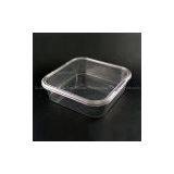Plastic Food Container (Lunch Box-Small)