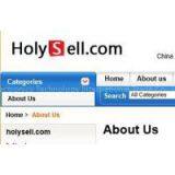 holysell Electronics Technology International Trade Co., Ltd