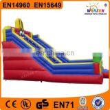 2015 China Newest Inflatable Water Slide for Adult and Kids on Sale thumbnail-5