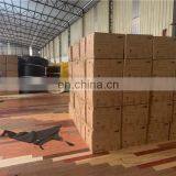 Cheap Nylon Fabric Air Blow Up Portable Screen , Inflatable Movie Screen For Family or Commercial Use thumbnail-7