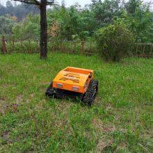 Remote Control Mower China Manufacturer Factory Supplier Wholesaler thumbnail-3