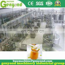 Complete Mango Jam Paste Puree Processing Plant thumbnail-5