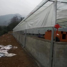 Transparent PE Chicken Poultry House Curtain for Poultry Farming120GSM 150GSM Pig House Roll up Tarpaulin thumbnail-5