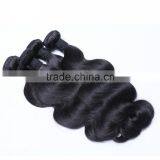 Wet and Wavy Virgin Body Wave Hair Bundles Indian Remy Human Hair Weave thumbnail-3