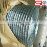 Anping Coutnry Factory Stainless Steel Welded Wire Mesh Roll Price ( ISO 9001 Factory) thumbnail-1