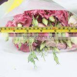 China Hotsell Fresh Cut Flower Eustoma Lisianthus thumbnail-2