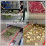 304 Stainless Steel Microwave Dryer for Starch With CE thumbnail-6