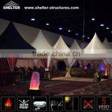 Cheap Price Sports Game Skating Tent Marquee Canopy thumbnail-1