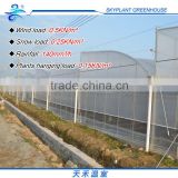 Poly Horticultural greenhouse , Plastic film greenhouse