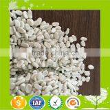 Calcium Carbonate Master Batch/CaCO3 Filler Masterbatch for PE/PP Plastics