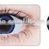 2014 New Arrival Authentic GEO XCH Series 622 Blue Color Cosmetic Contact Lens Made in Korea by GEO Medical thumbnail-2