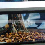 2015 Hot Seller 32" to 84" Touch Transparent Lcd Display - Ipanel thumbnail-2