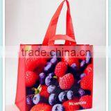 Beautiful laminated pp non woven bag.non woven fabric holiday gift bags