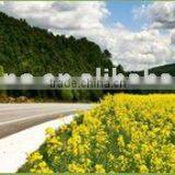 Vehicle Heat Insulation Coating