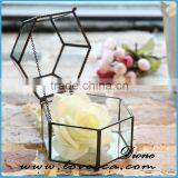 Hot Sale Indoor Plant Glass Terrarium Clear Glass Geometrical Hanging Terrarium-tiffany Geometric Glass Terrarium thumbnail-2