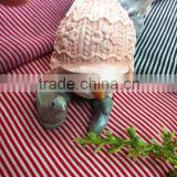 Competitive price for Knitted Fabric - 1*1 Model colored cotton(free cut)