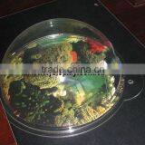 Wall Mount Fish Bowl Tank C1015475 thumbnail-1
