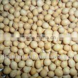 Soybean 2011 Crop thumbnail-1