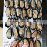 Seafood Shellfish Frozen Half Shell Mussel