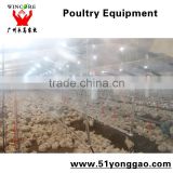 automatic poultry farming equipment for broiler breeder chicken