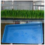 Lowest Price Soya Bean Sprouting Machine With Best Service thumbnail-6